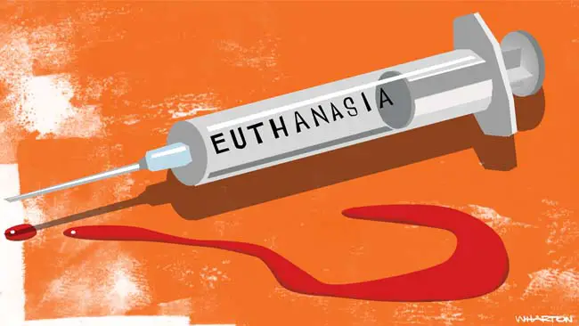 euthanasia-an-act-of-mercy-killing-racolb-legal